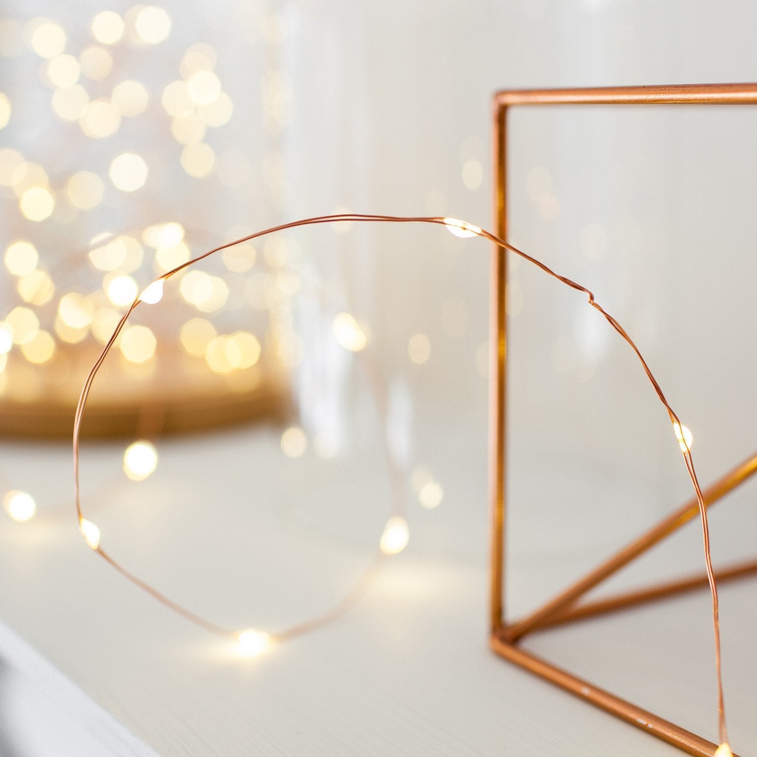 Wholesale Battery Seed Fairy Lights
