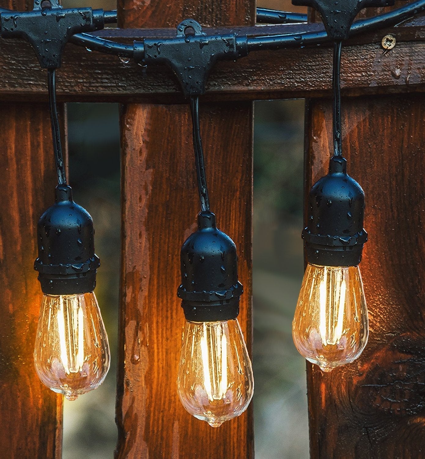 festoon lights outdoor
