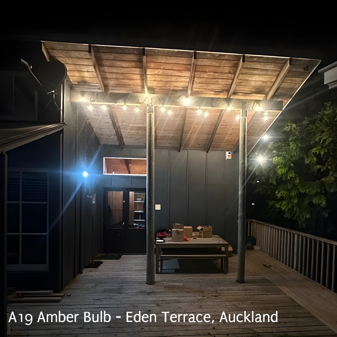 A19 Amber Bulbs | 10m 10 Bulbs | Flush Mount Dimmable Festoon Lights