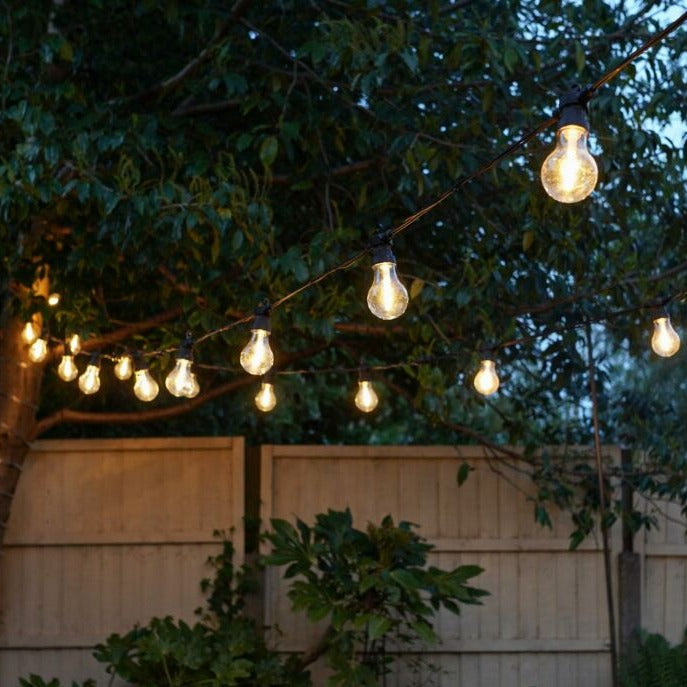 Festoon Lights A60 LED Bulbs