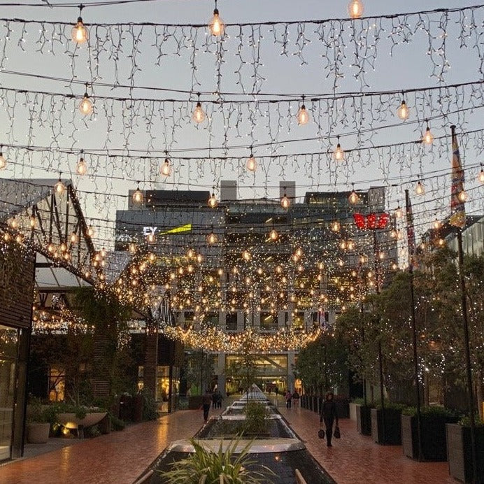 G80 Festoon Lights and Icicle Lights