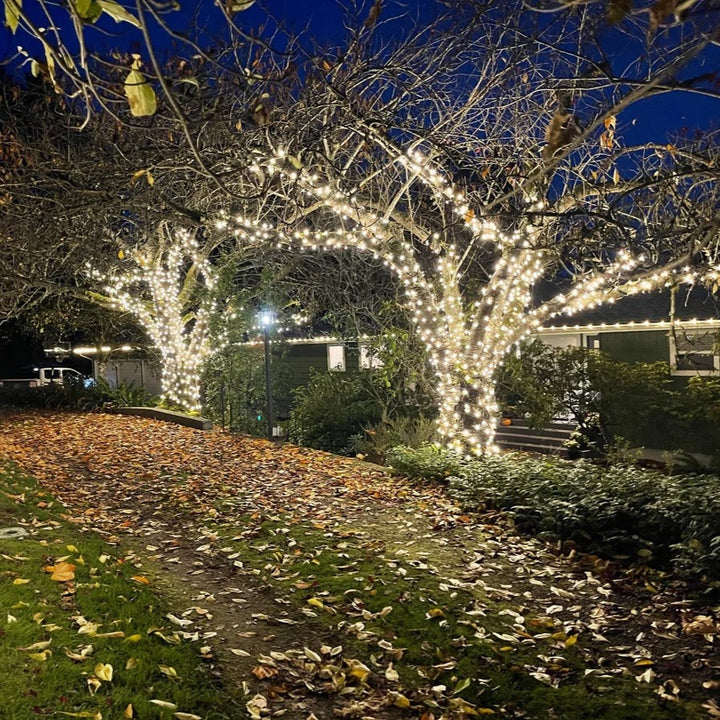 Large Outdoor Low Voltage Fairy Lights Tree Kit | Black Cable | 150m