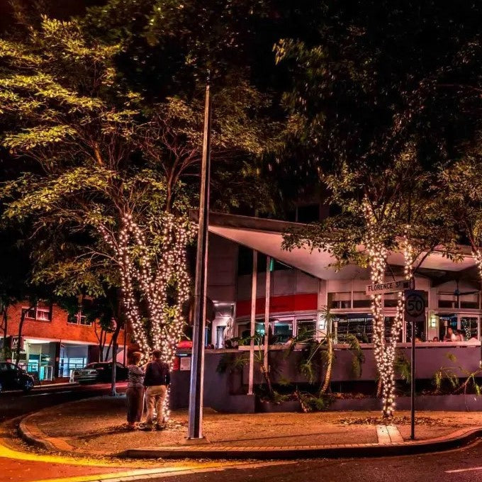 Medium Outdoor Low Voltage Fairy Lights Tree Kit  | Black Cable | 80m