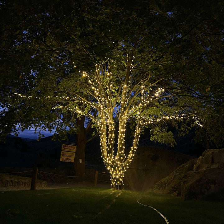 Large Outdoor Standard 230v Fairy Lights Tree Kit | Black Cable | 150m