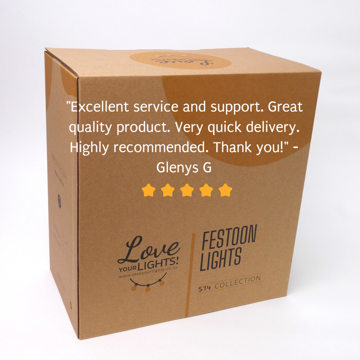 S14 Clear Bulb | 5m 10 Bulbs | Flush Mount Dimmable Festoon Lights