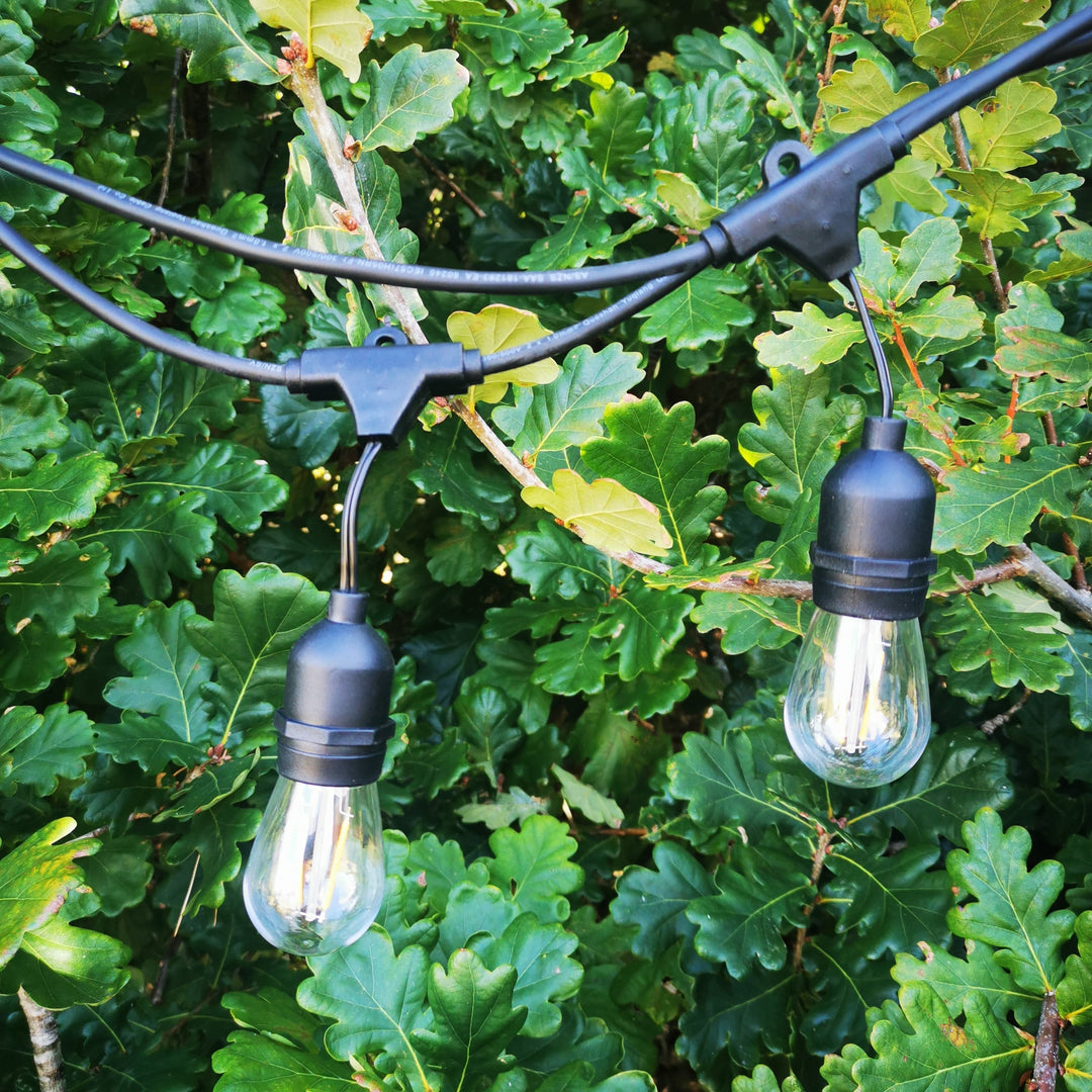S14 Clear Bulb | 5m 10 Bulbs | Drop Hang | Dimmable Festoon Lights