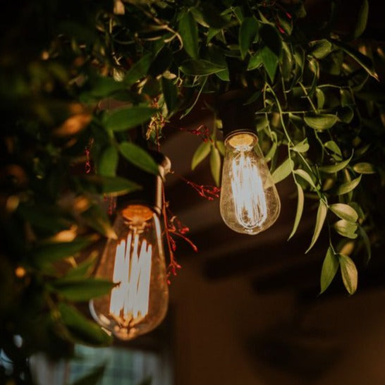 ST58 Amber Drop Hang Connectable Festoon Lights from Love Your Lights