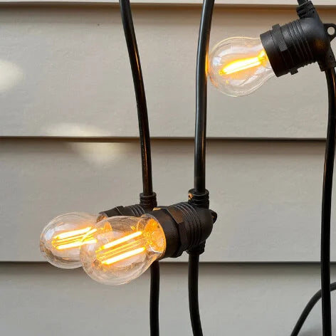 which festoon light bulb?