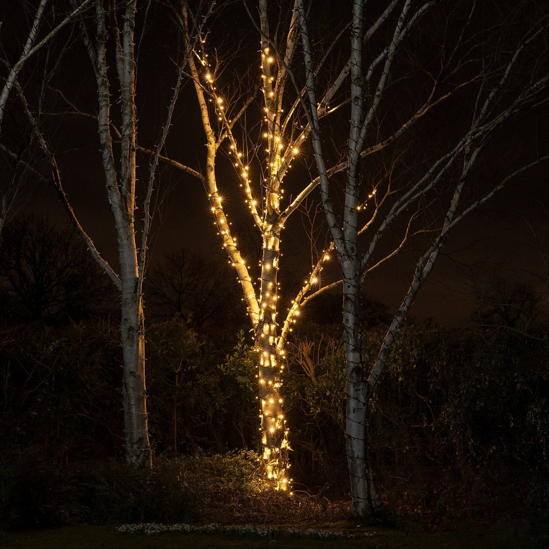 Use our calculator to work out how many lights you need for your trees.