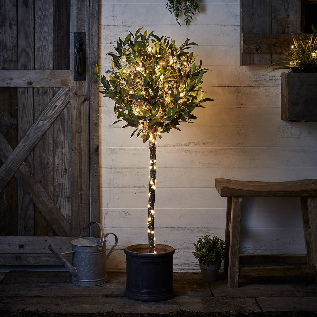 Which Solar Fairy Lights Should I Choose?