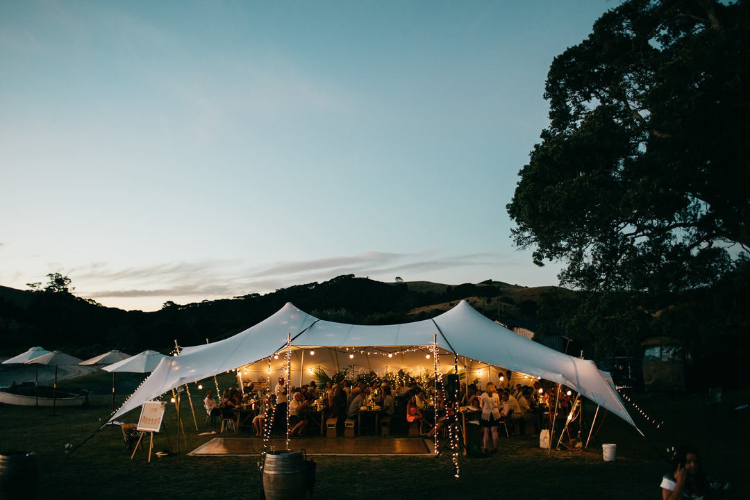 Are you searching for the perfect lighting setup?