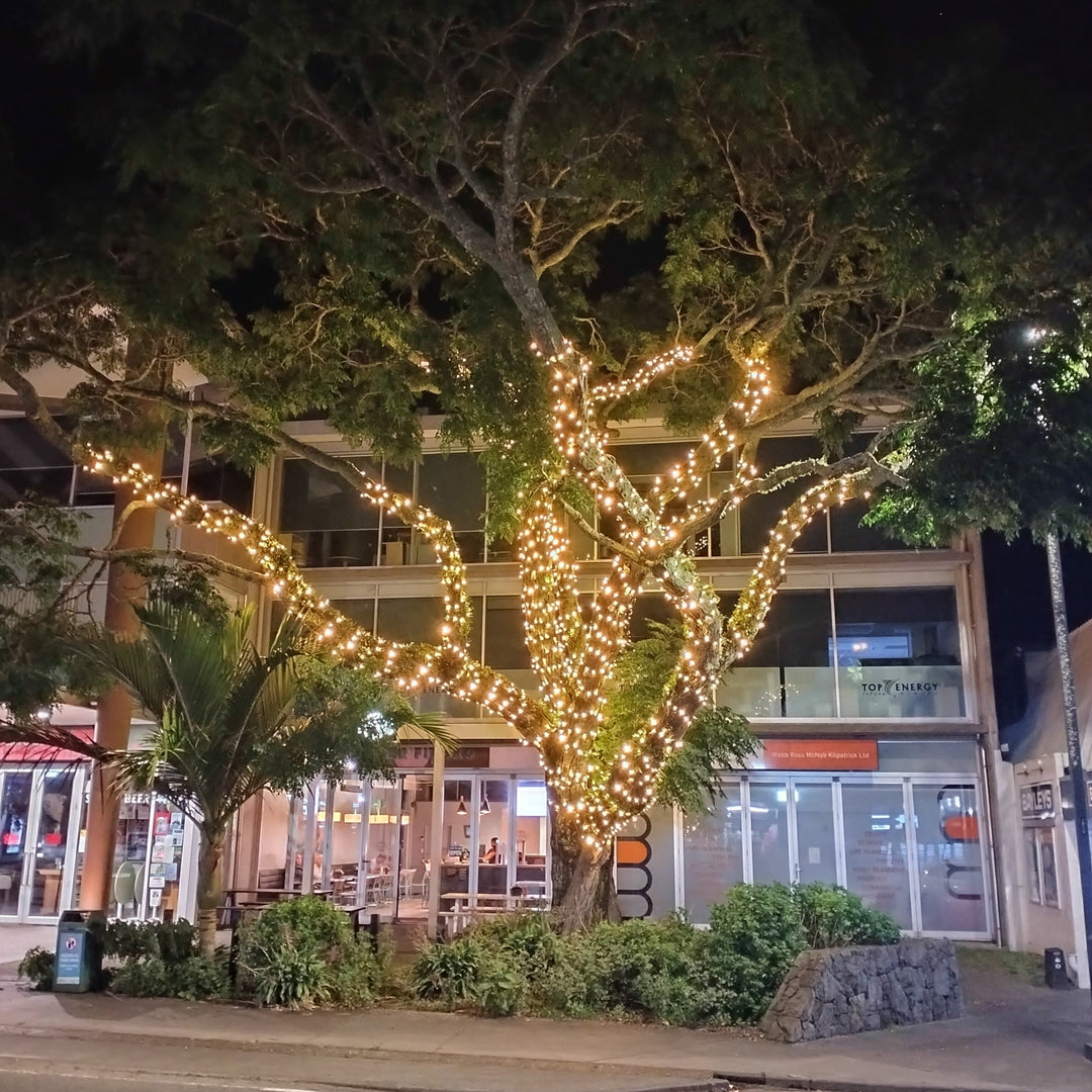 Commercial Lighting Australia | Festoon & Fairy Lights | Love Your Lights