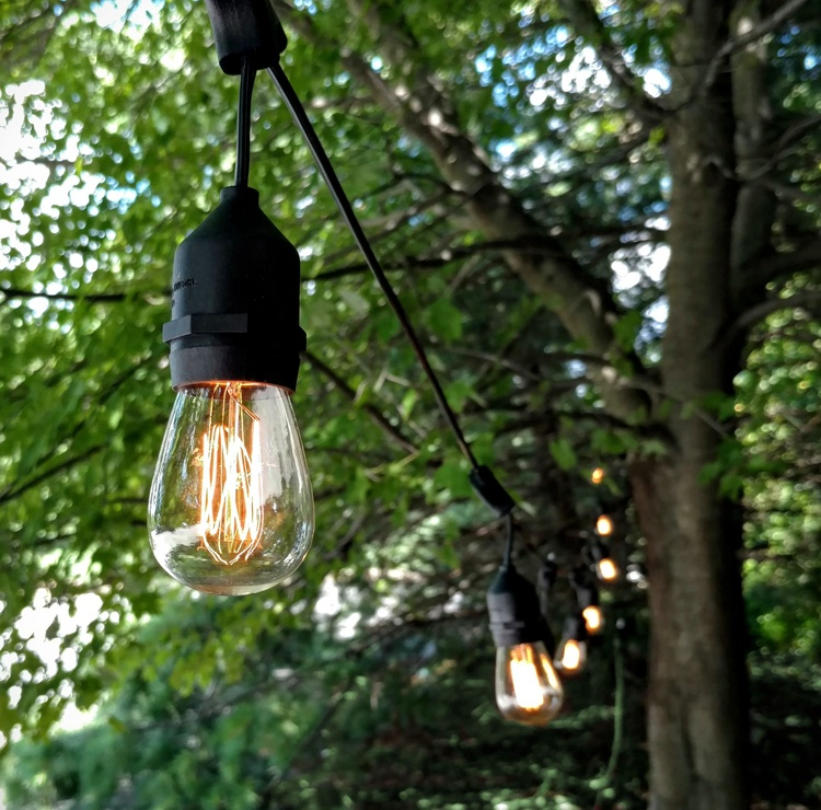 Festoon Lights Australia | 1m Spaced Bulbs | Drop Hang Style