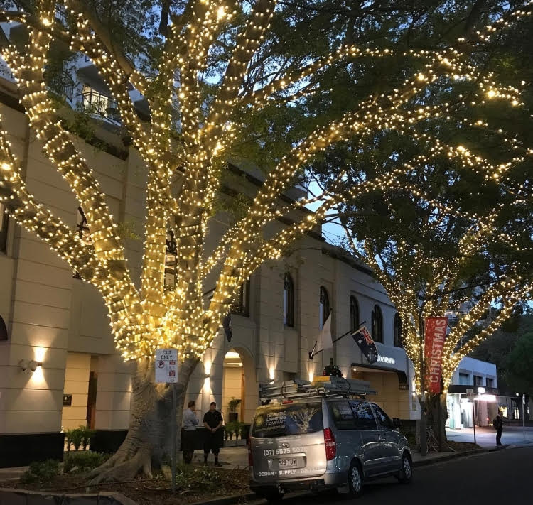 Pro Series Fairy Lights