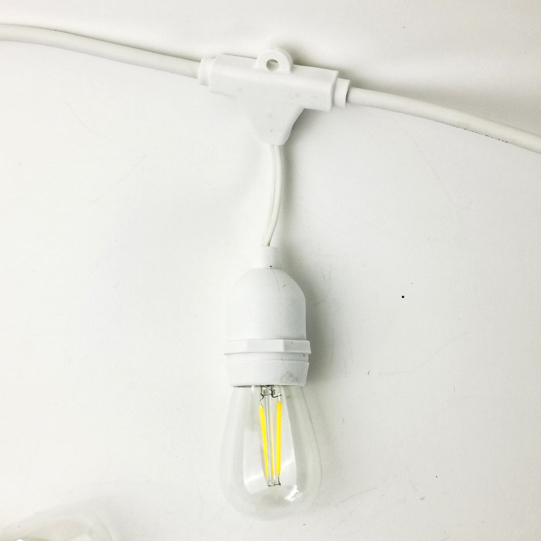 White S14 Drop Hang Festoon Lights Glass Bulb from Love Your Lights