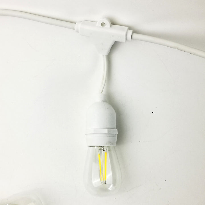 White S14 Drop Hang Festoon Lights Glass Bulb from Love Your Lights