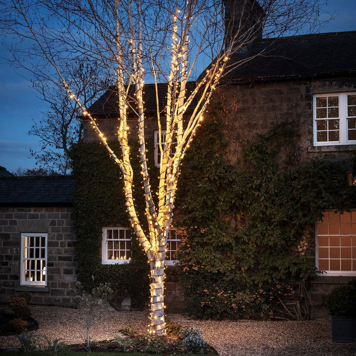 Pro Series | Low Voltage Outdoor Fairy Lights | Black Rubber Cable  | Connectable