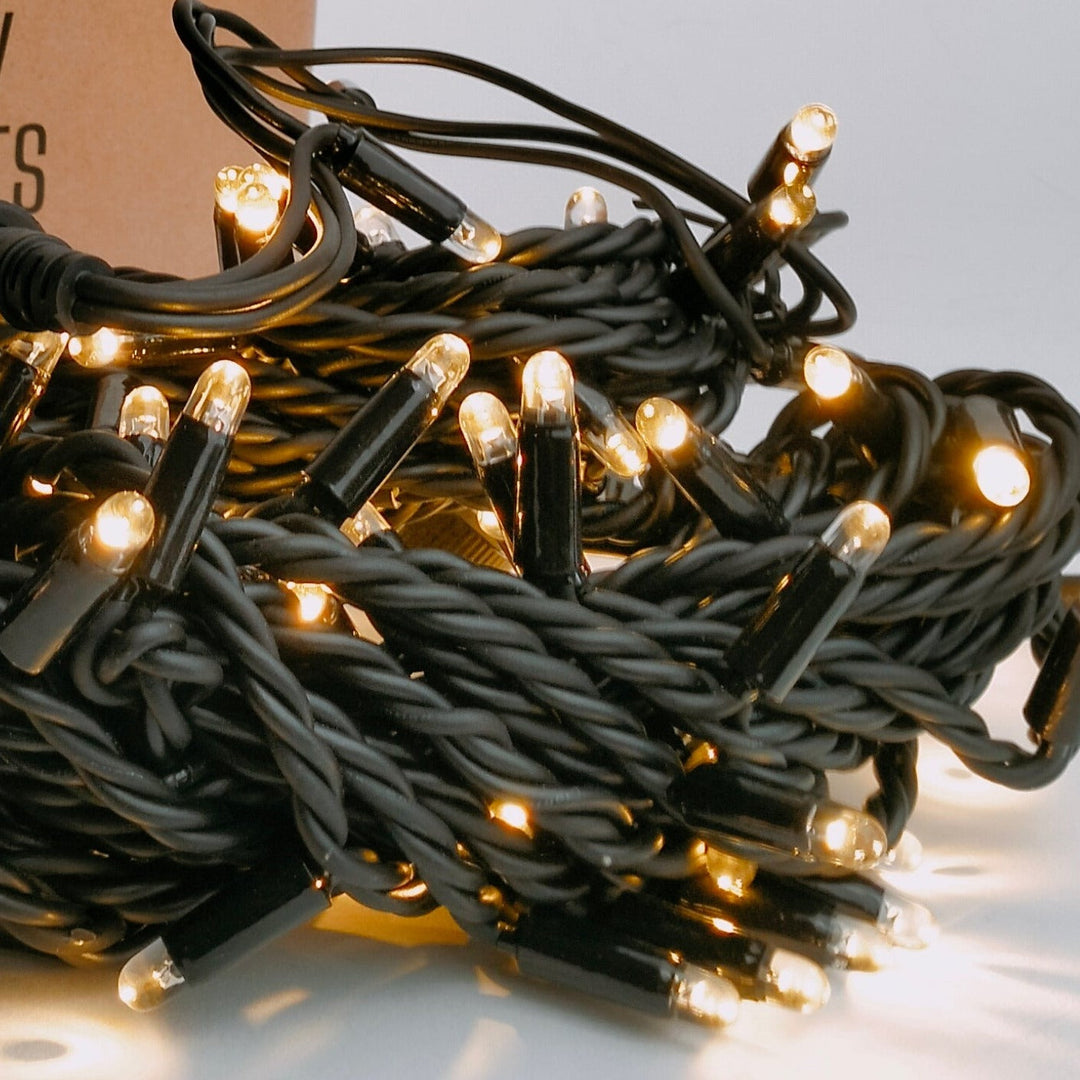 Pro Series | Low Voltage Outdoor Fairy Lights | Black Rubber Cable  | Connectable