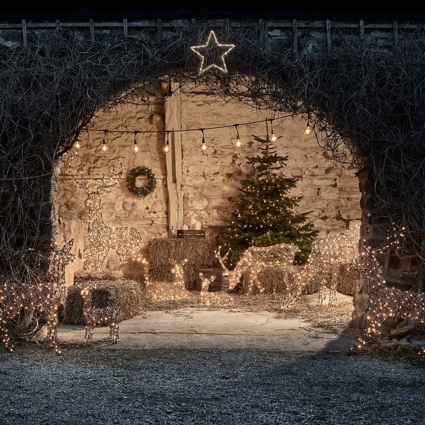 G40 7.6m 25 Bulbs | Festoon Lights | Drop Hang