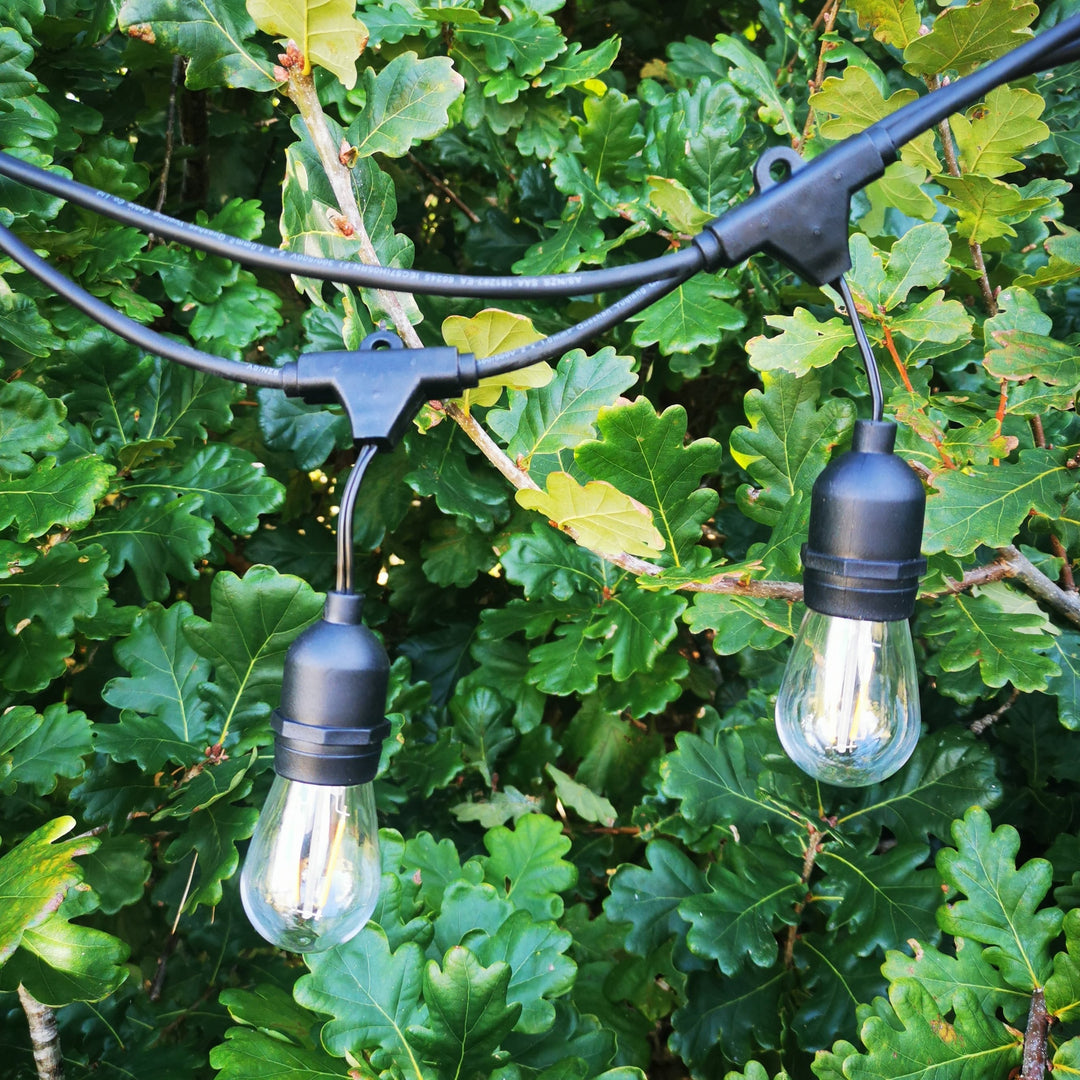 S14 Drop Hang Festoon Lights from Love Your Lights