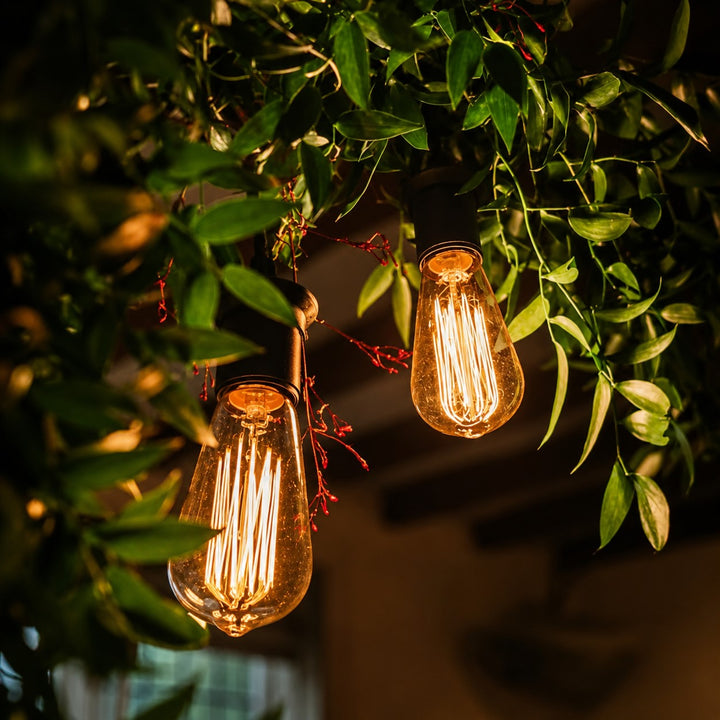 Festoon Lights | ST58 Amber Bulb | 10m 10 Bulbs | Flush Mount | Connectable