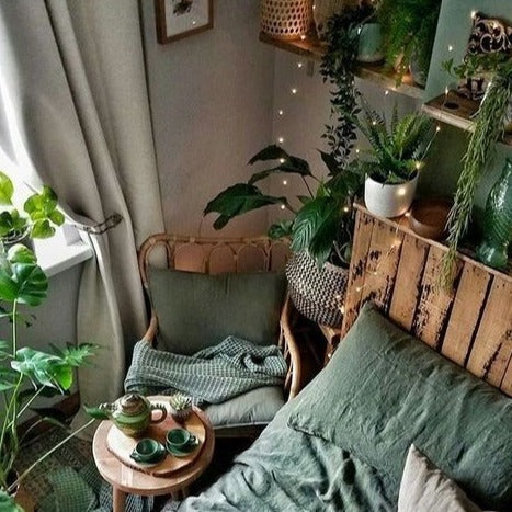 Indoor Lighting_Copper Wire Seed Fairy Lights