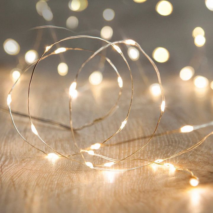 USB Silver Seed Fairy Lights from Love Your Lights
