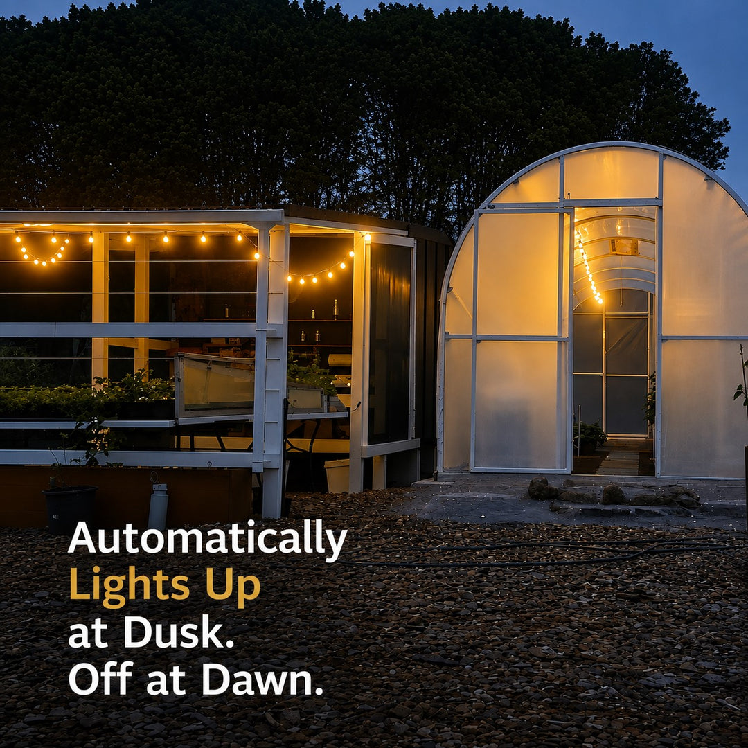 Solar G40 Clear Festoon Lights | 7.6m 25 Bulbs
